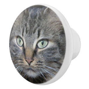 Bouton De Porte En Céramique Main Coon Cats Eyes