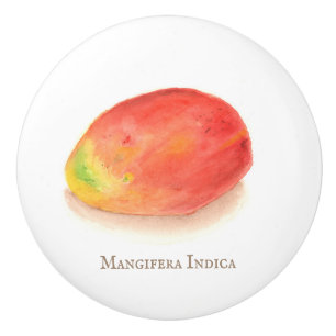 Bouton De Porte En Céramique Mango !