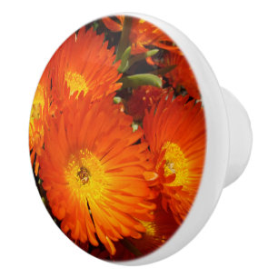 Bouton De Porte En Céramique Marguerites géantes,