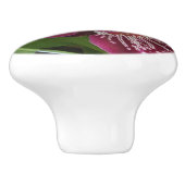 Bouton De Porte En Céramique Maroon Orchids II (Côté)