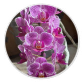 Bouton De Porte En Céramique Mini Phalaenopsis Sogo Vivien Orchidée violet (Devant)