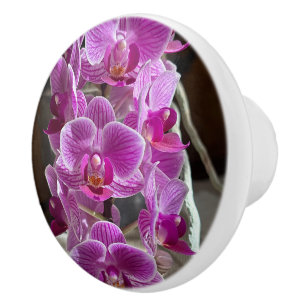 Bouton De Porte En Céramique Mini Phalaenopsis Sogo Vivien Orchidée violet