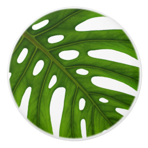 Bouton De Porte En Céramique Monstera Leaf ceramic Knob