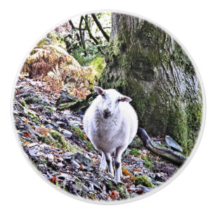 BOUTON DE PORTE EN CÉRAMIQUE MOQUETTE