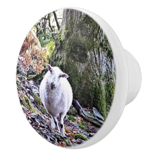 BOUTON DE PORTE EN CÉRAMIQUE MOQUETTE (Droite)