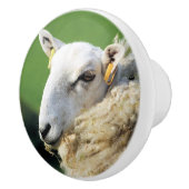 BOUTON DE PORTE EN CÉRAMIQUE MOQUETTE (Droite)