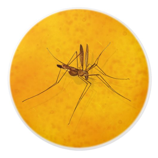 Bouton De Porte En Céramique Mosquito dans la réplique fossile Amber Sap (Devant)
