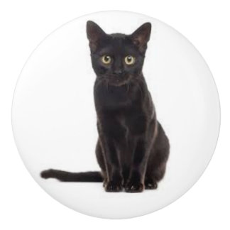 Bouton De Porte En Céramique Mouette en céramique avec chat noir