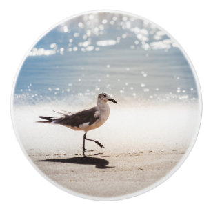 Bouton De Porte En Céramique Mouette sur Virginia Beach
