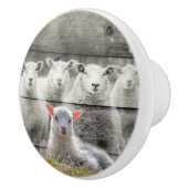 Bouton De Porte En Céramique Mouton d'agneau de bébé (Droite)