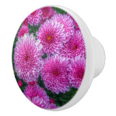 Bouton De Porte En Céramique Mums pourpres (Droite)