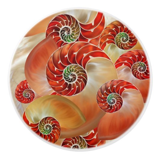 Bouton De Porte En Céramique Nautilus Shells (Devant)