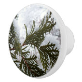 Bouton De Porte En Céramique Neige sur les branches À feuillage persistant (Droite)