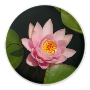 Bouton De Porte En Céramique Nénuphar rose Lotus