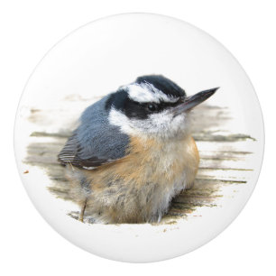 Bouton De Porte En Céramique Noeud en céramique Nuthatch
