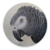 Bouton De Porte En Céramique Noeuds de perroquet gris africain (Devant)