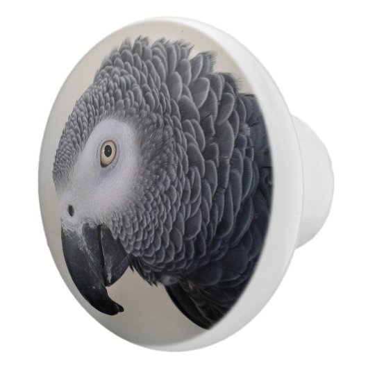 Bouton De Porte En Céramique Noeuds de perroquet gris africain (Droite)