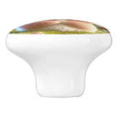 Bouton De Porte En Céramique Noisette minuscule (Côté)