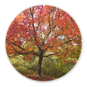 BOUTON DE PORTE EN CÉRAMIQUE NOM CÉRAMIQUE PERSONNALISÉ "SPLENDOR AUTOMNE"/ARBR