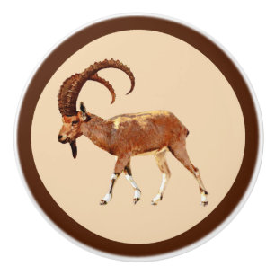 Bouton De Porte En Céramique Nubian Ibex - Ein Gedi