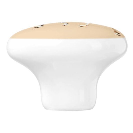 Bouton De Porte En Céramique Nubian Ibex - Ein Gedi (Côté)