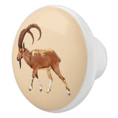 Bouton De Porte En Céramique Nubian Ibex - Ein Gedi (Droite)