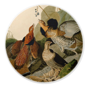 Bouton De Porte En Céramique Oiseau de gibier Audubon
