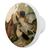 Bouton De Porte En Céramique Oiseau de gibier Audubon (Droite)