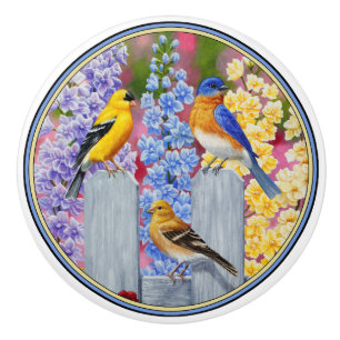 Bouton De Porte En Céramique Oiseaux de printemps colorés Jardin Fête