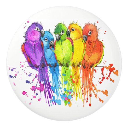 Bouton De Porte En Céramique Oiseaux tropicaux Ceramic Knods (Devant)