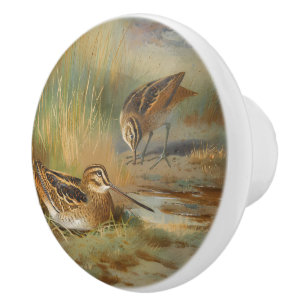 Bouton De Porte En Céramique Oiseaux vintages illustrés, Oiseaux