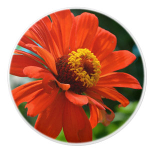 Bouton De Porte En Céramique Orange Zinnia
