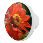 Bouton De Porte En Céramique Orange Zinnia (Droite)