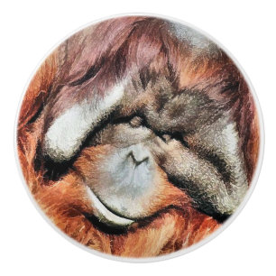 BOUTON DE PORTE EN CÉRAMIQUE ORANGUTANS