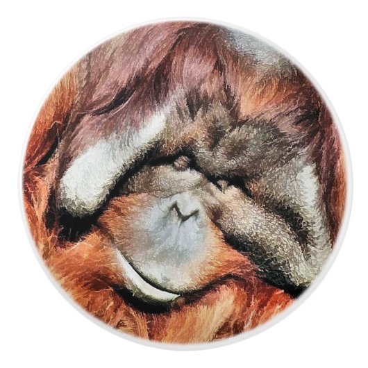 BOUTON DE PORTE EN CÉRAMIQUE ORANGUTANS (Devant)