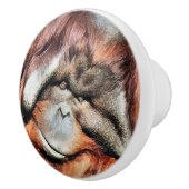BOUTON DE PORTE EN CÉRAMIQUE ORANGUTANS (Droite)