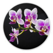 Bouton De Porte En Céramique Orchidée blanche et violette (Devant)