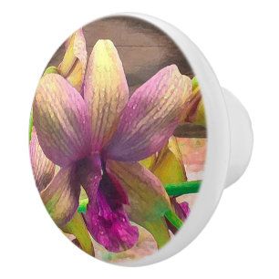 Bouton De Porte En Céramique Orchidées en floraison