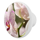 Bouton De Porte En Céramique Orchidées par Shirley Taylor (Droite)