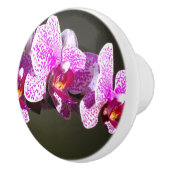 Bouton De Porte En Céramique Orchidées roses (Droite)