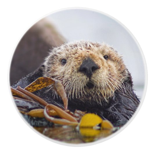 Bouton De Porte En Céramique Otter Surprise Knob (Devant)