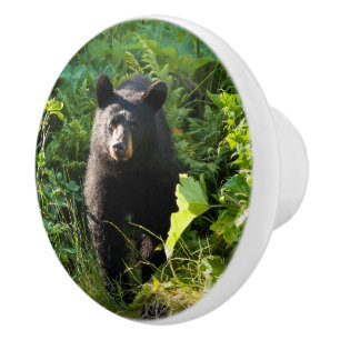 Bouton De Porte En Céramique Ours noir curieux