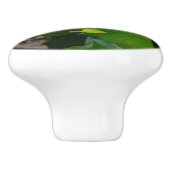 Bouton De Porte En Céramique Pair de Lotus (Côté)