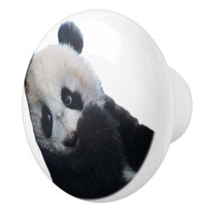 Bouton De Porte En Céramique Panda