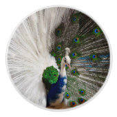 Bouton De Porte En Céramique Paon bleu blanc (Devant)