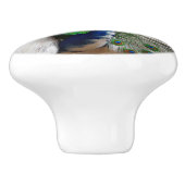 Bouton De Porte En Céramique Paon bleu blanc (Côté)