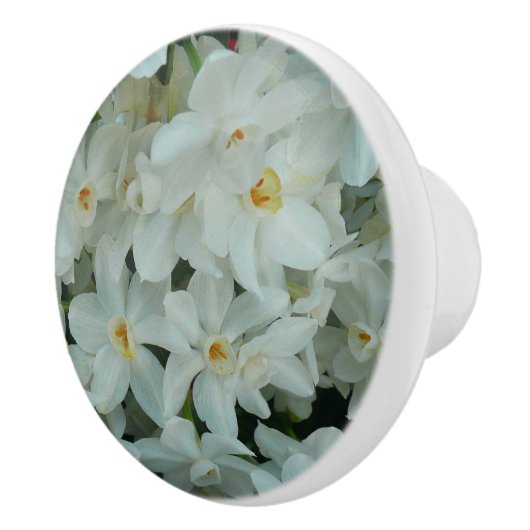 Bouton De Porte En Céramique Paperwhite Narcissus Fleurs blanches délicates (Droite)