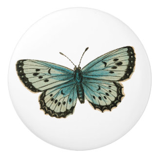 Bouton De Porte En Céramique Papillon bleu