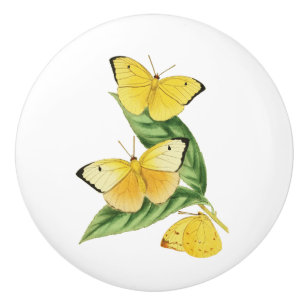 Bouton De Porte En Céramique Papillon Colias Statira