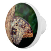 Bouton De Porte En Céramique Papillon de hibou Brown  (Droite)